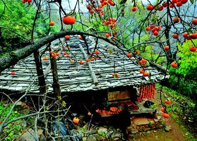 UKS05 Korean House img 43.jpg