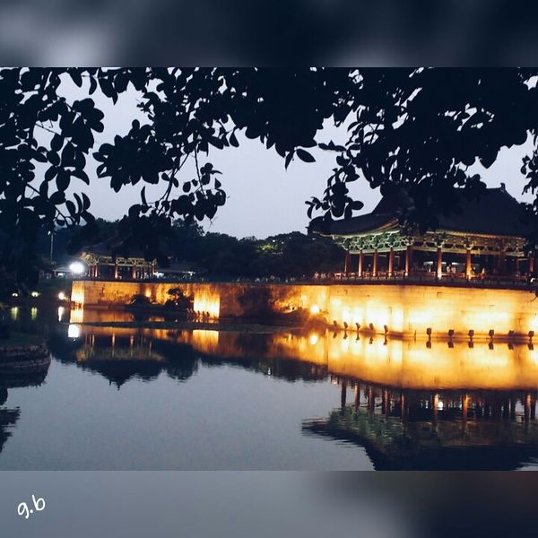 파일:PhotoGrid 1438417370818-1-.jpg