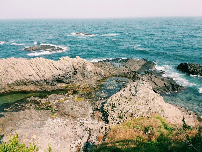 파일:PhotoGrid 1438417770402-1-.jpg