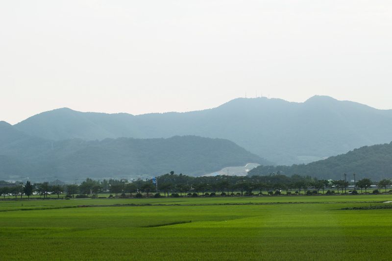 파일:Aks s (2).jpg