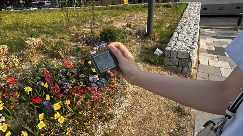 파일:KakaoTalk 20250429 020004266.jpg