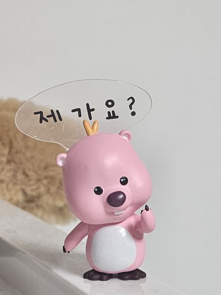 파일:뤂이 피규어.jpg