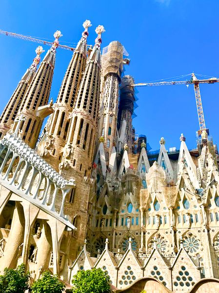 파일:IMG 1233 jpg.JPG