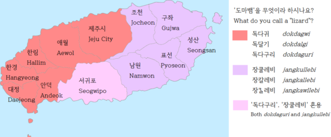 제주도 도마뱀.png