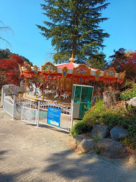 파일:지산유원지회전목마.jpg