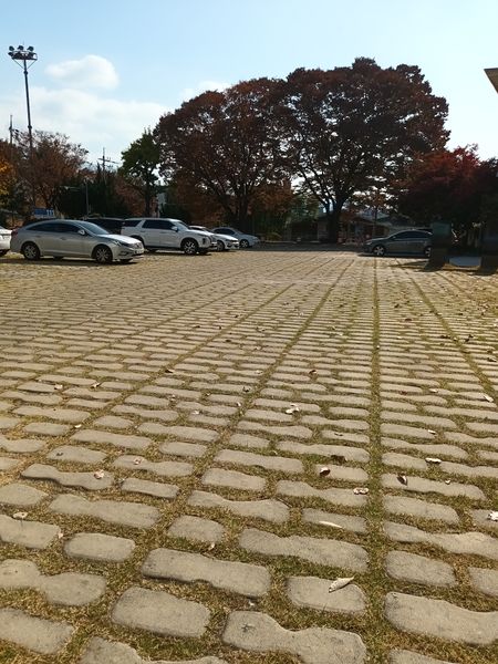 파일:20221106 111811.jpg