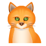 Icons8-cat-96.png