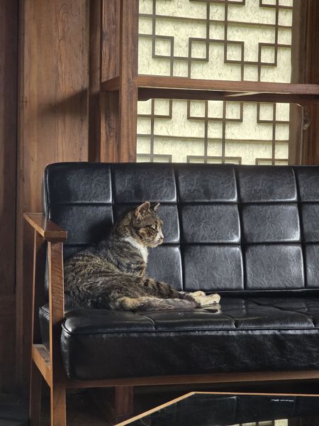 파일:KakaoTalk 20241002 021222012 06.jpg