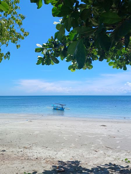 파일:Timor leste.jpg