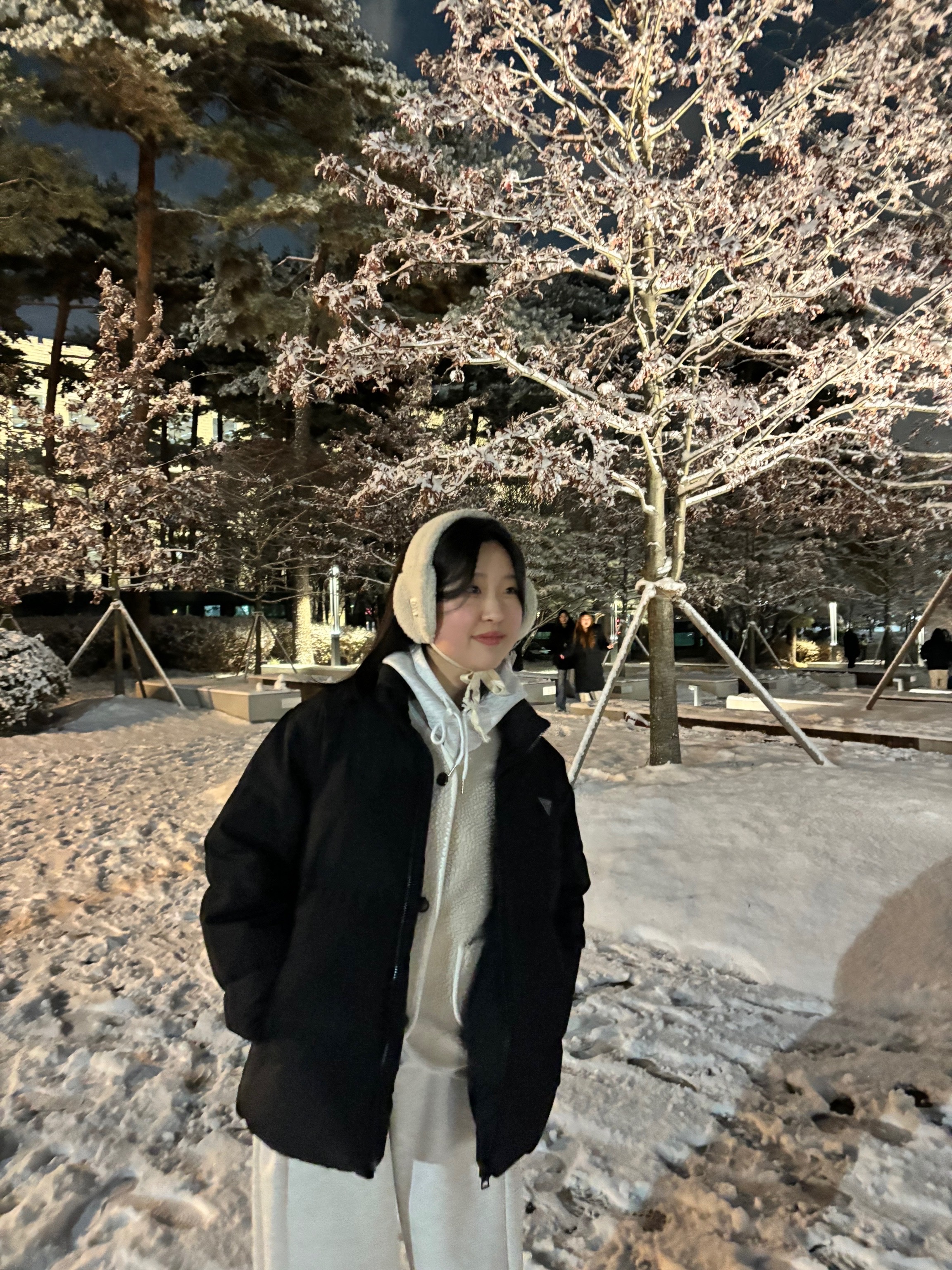 고려대 겨울.jpeg