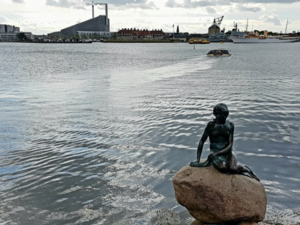 덴마크인어공주 양현우.png