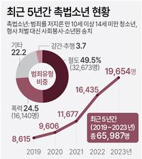 연구기획 소년범죄증가.jpg