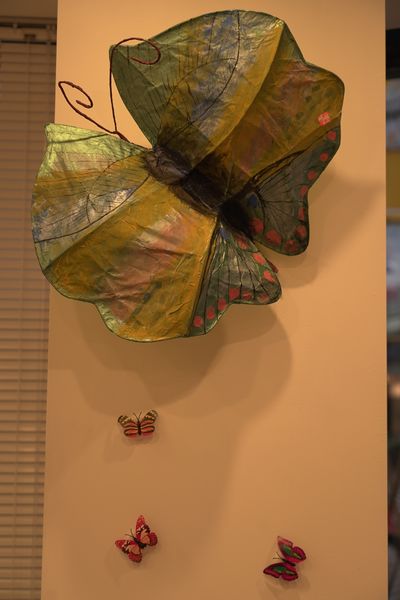 파일:나비가 나르샤-5.JPG