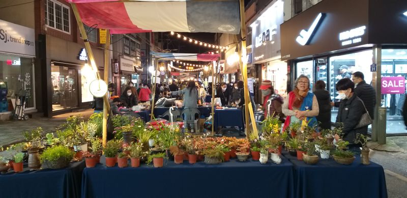 파일:차 없는 거리-2.jpg