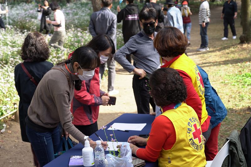 파일:구절초 솔향을 머금다-3.JPG