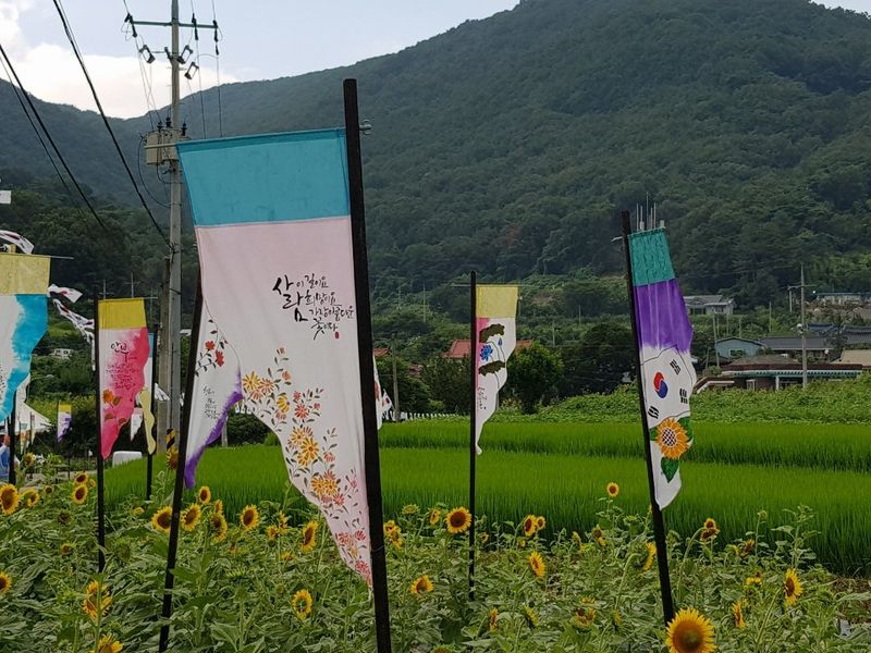 파일:아리랑 깃발 밀양-4.jpg