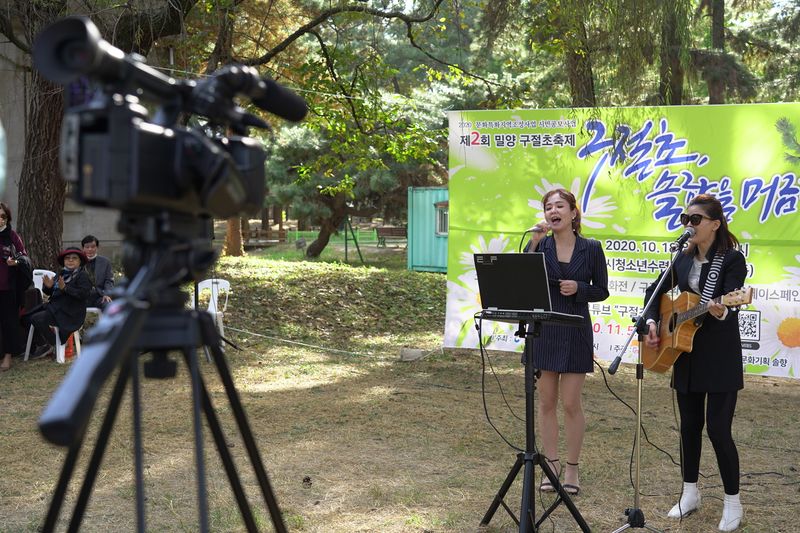 파일:구절초 솔향을 머금다-1.JPG