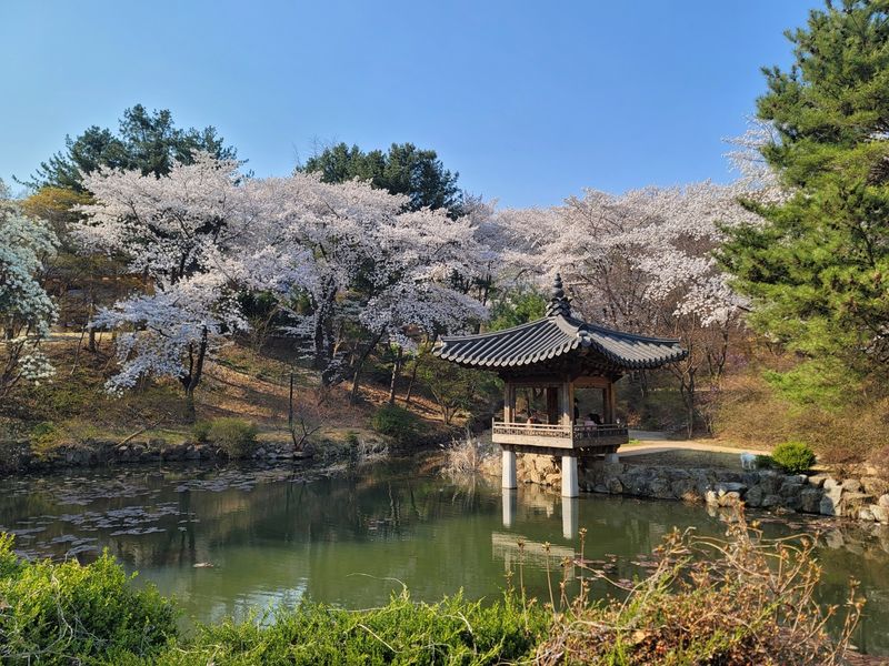 파일:한중연 학의정.jpg