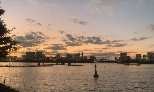 가을과 겨울 사이의 오다이바