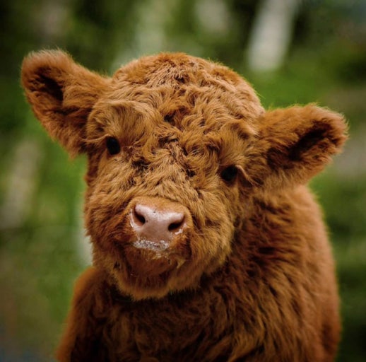 파일:박비오 프로필.jpg