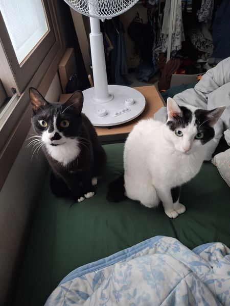 파일:KakaoTalk 20251023 180753987.jpg