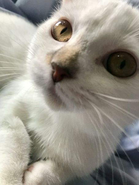 파일:KakaoTalk 20251104 195111657.jpg