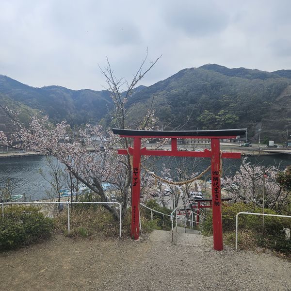 파일:대마도에서 찍은 사진.jpg