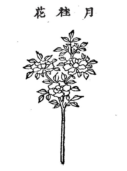 파일:63.월계화 정해.jpg