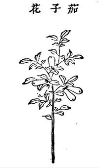 11.가자화 정해.jpg