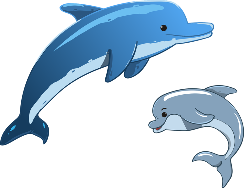 파일:Dolphin-3321762 1280.png