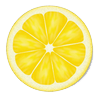 LemonSlice_xs.png