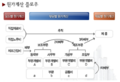 2020년 5월 11일 (월) 23:03 판의 섬네일