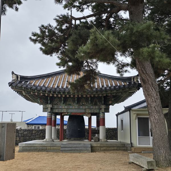 파일:20250105 132637.jpg