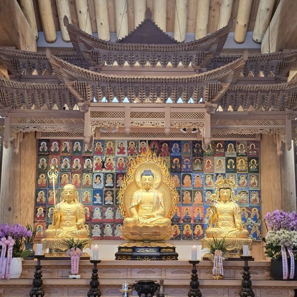 파일:20250418 150037.jpg