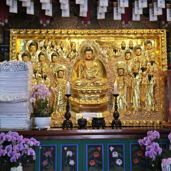 파일:20250609 095128.jpg