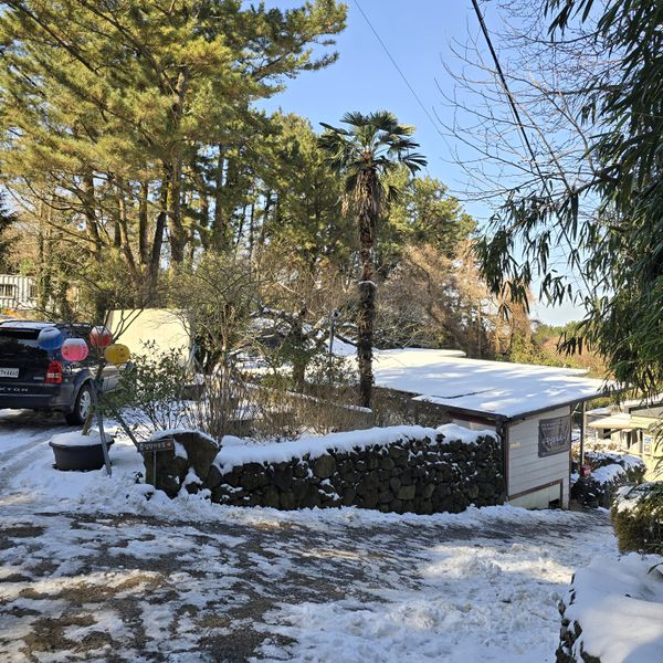 파일:20250130 131753.jpg