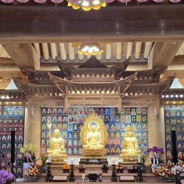 파일:20250202 133638.jpg