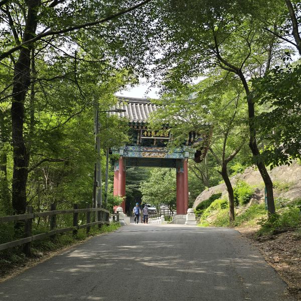 파일:20250609 093532.jpg