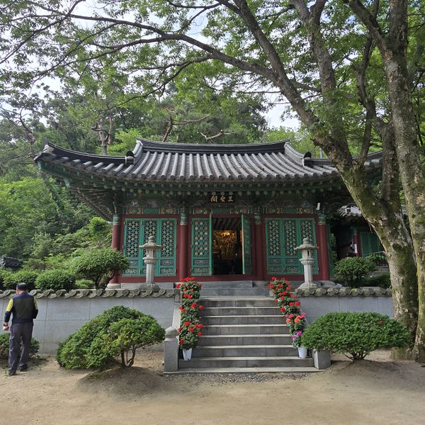 파일:20250609 094925.jpg