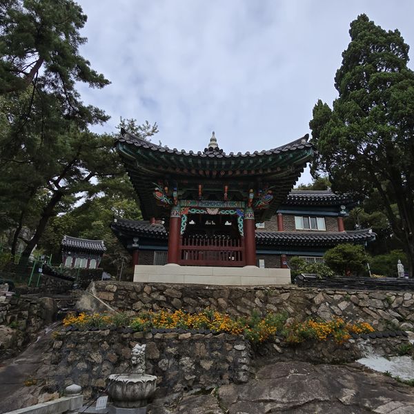 파일:20241021 131549.jpg