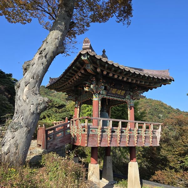 파일:20241024 144533.jpg