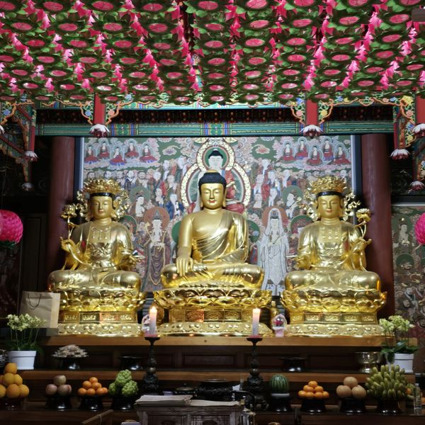 파일:20250105 125535.jpg