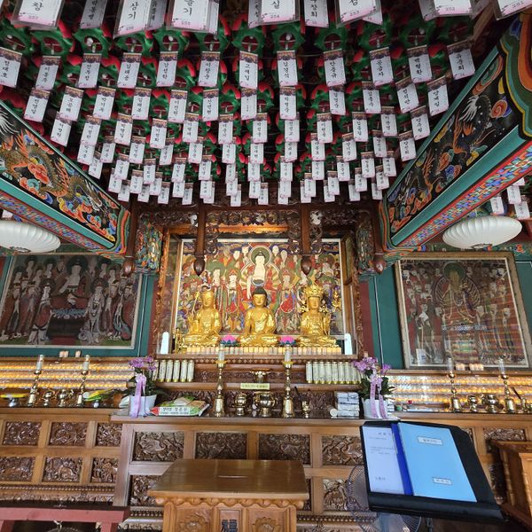 파일:20250609 134556.jpg