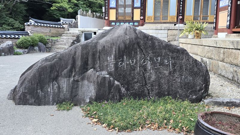 파일:20241002 160955.jpg