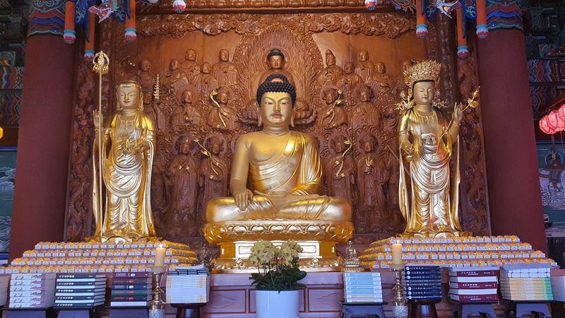 파일:20220721 103122-1.jpg