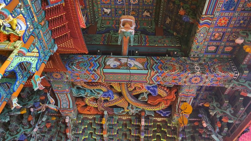 파일:20220721 103016-1.jpg