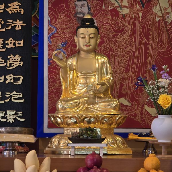 파일:20250129 132405.jpg