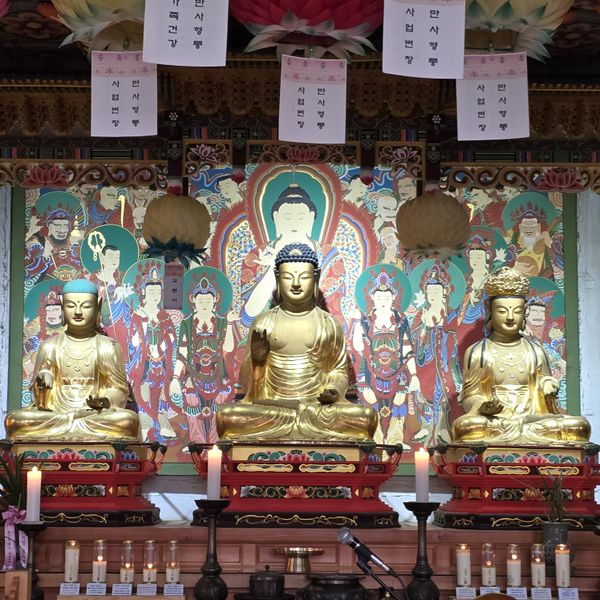 파일:20250127 152459.jpg