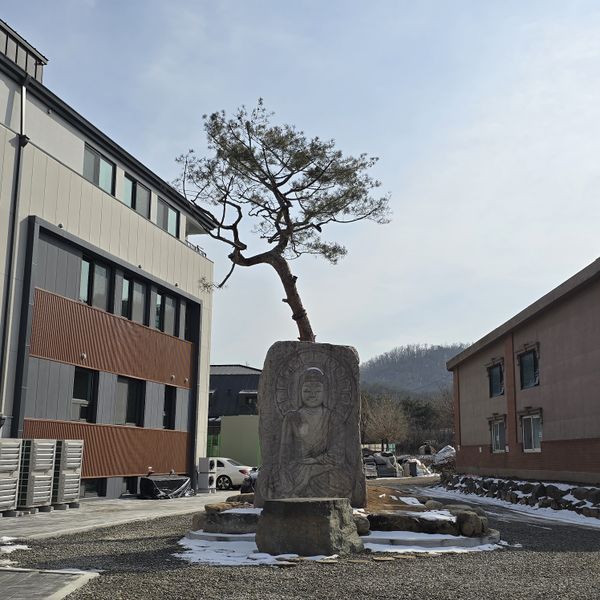 파일:20250202 132945.jpg