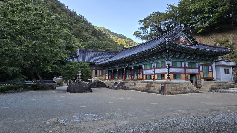 파일:20241002 160850.jpg